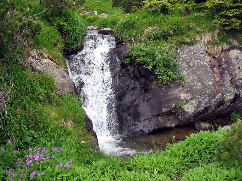 http://www.karpaty.com.ua/pages/gidrography/waterfalls/prut4.jpg